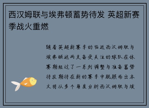 西汉姆联与埃弗顿蓄势待发 英超新赛季战火重燃